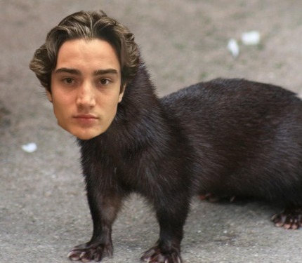 MINKIFY