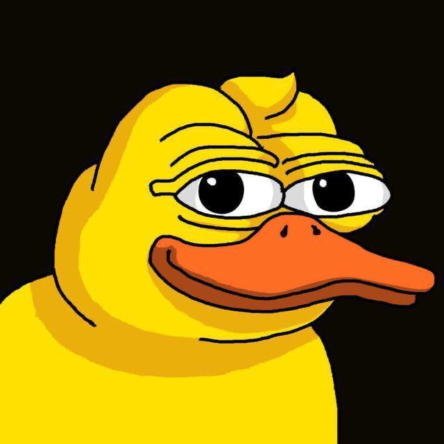 DUCKYS