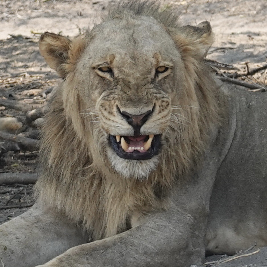 Laugh