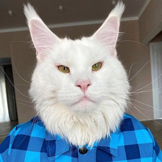 paul