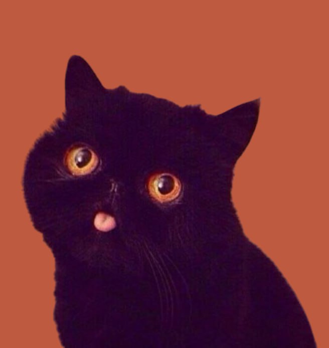 THPOOKY