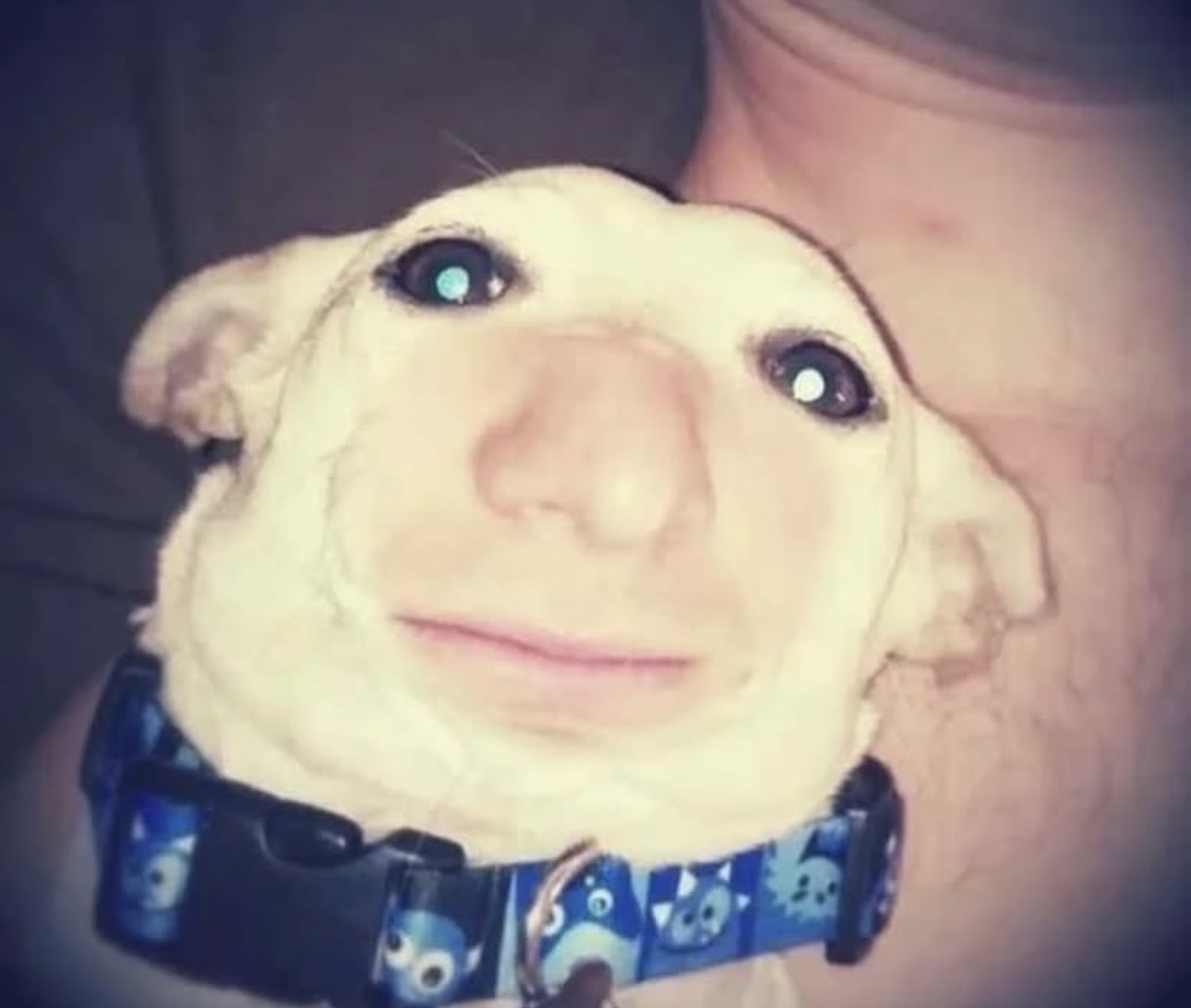 Yo