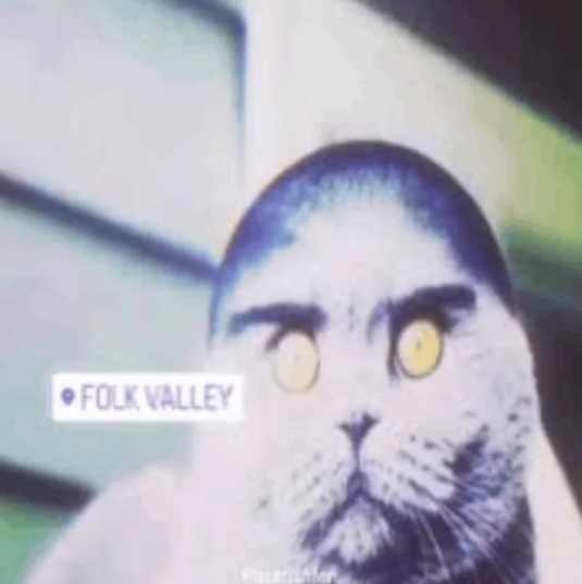 FOLK