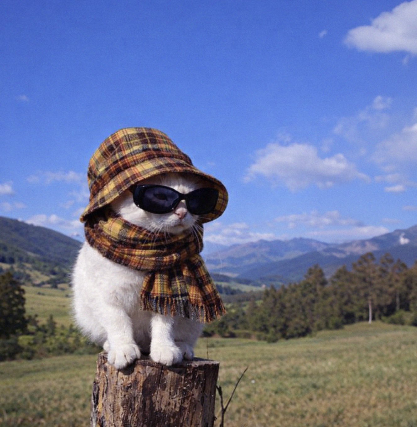 offline