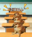 歪比巴卜