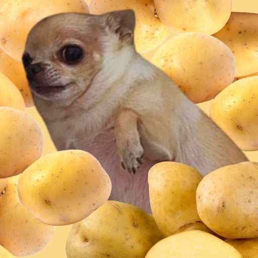 POG