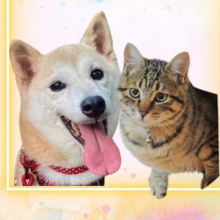 GINNEI