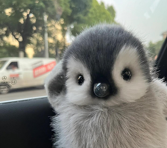 Peanie