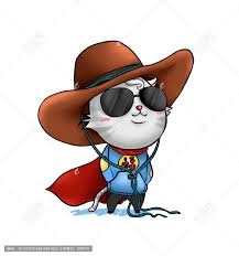 Cowboy Cat