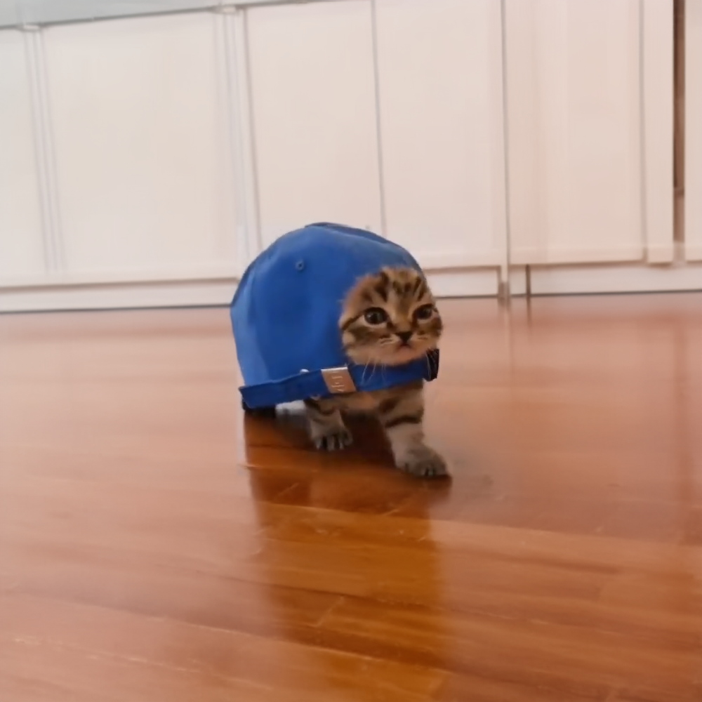 CAP