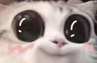 aww