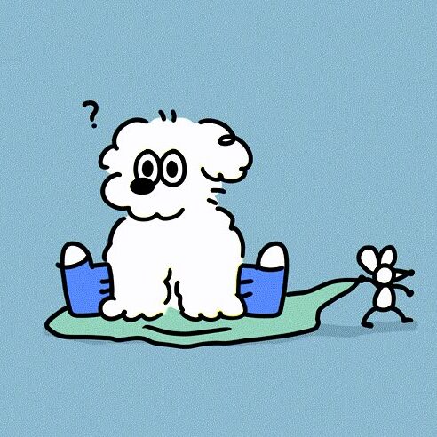 MUPPY