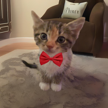 BOWIE