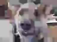 144p