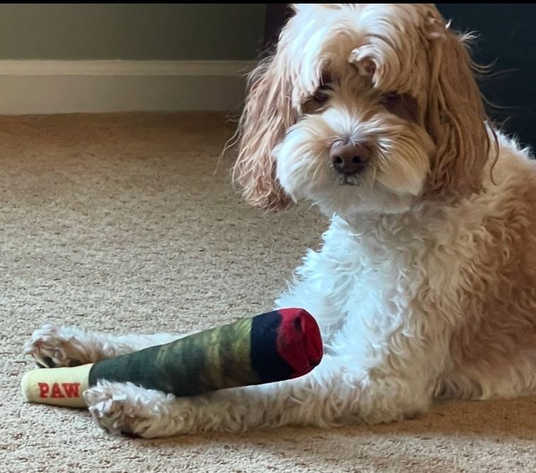 SmokeDog