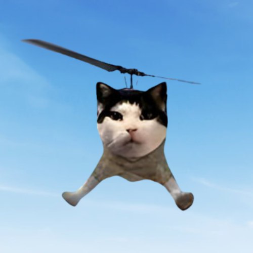 CATHAWK