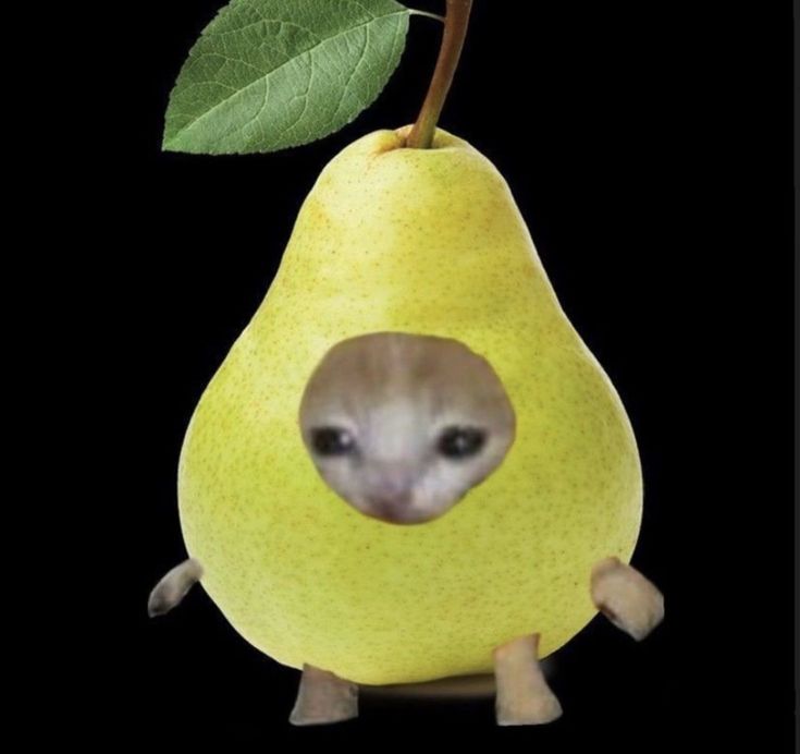 PEARCAT