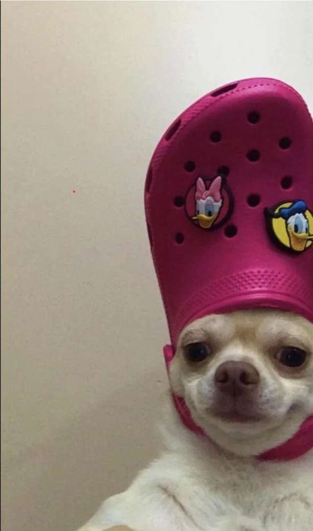 WifCroc