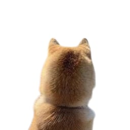 ꓷOꓨ