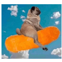 PUG