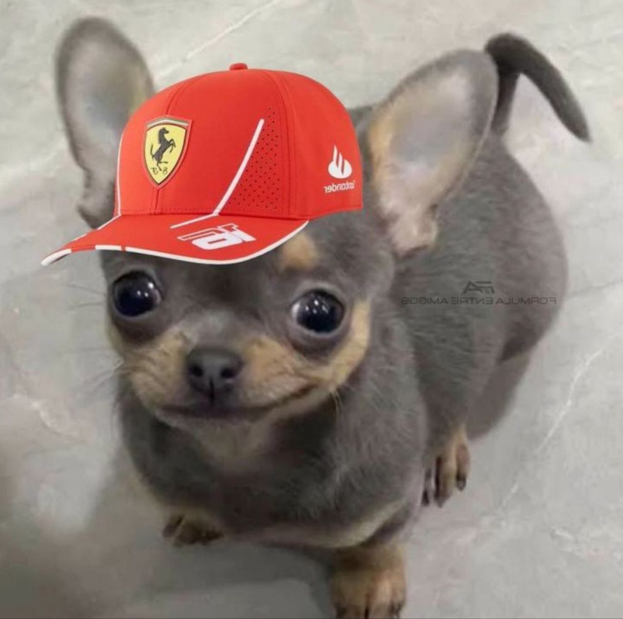 ChiChi