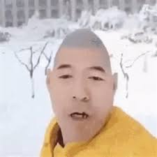 XueHuaPiao