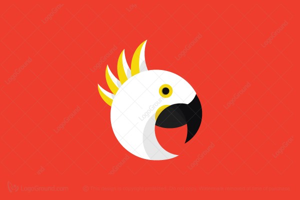 Cockatoo