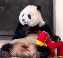 渝爱