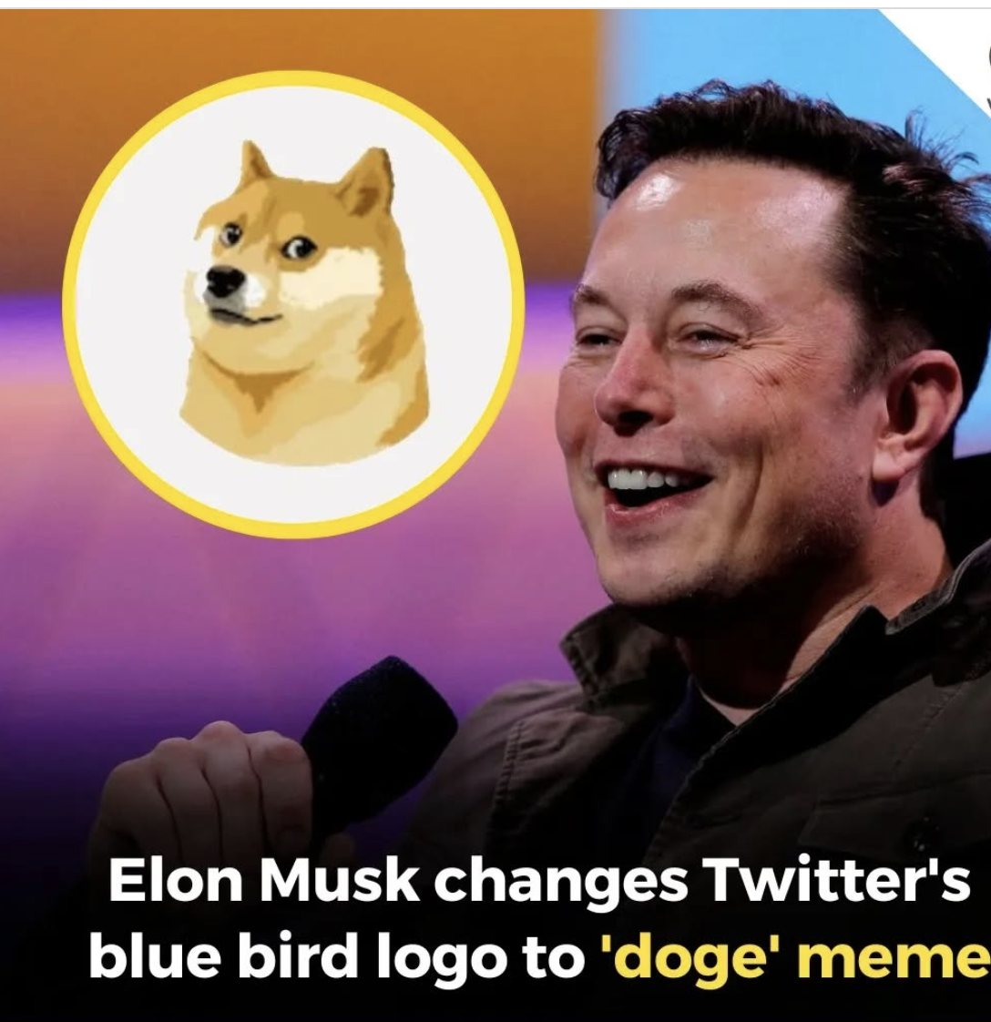 DOGE