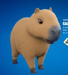 CAPY