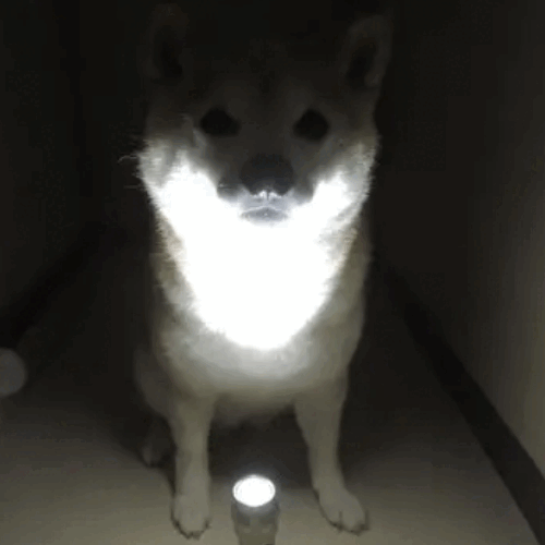 Spook