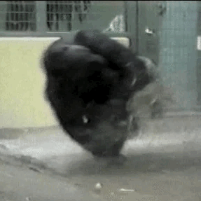Spincoin