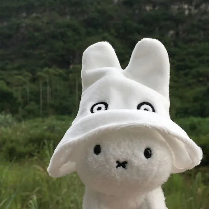 hasi