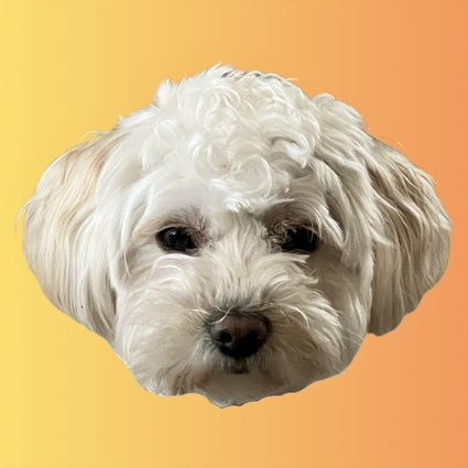 Balu