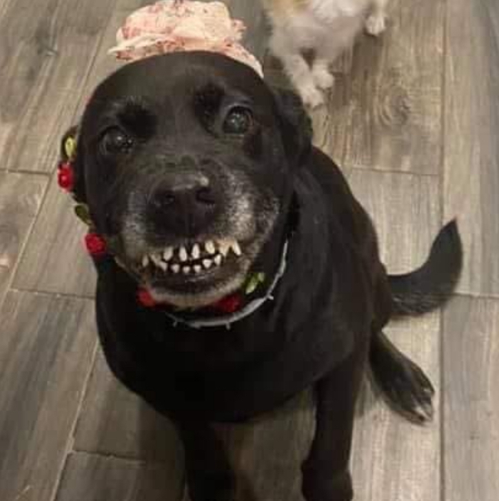 karma