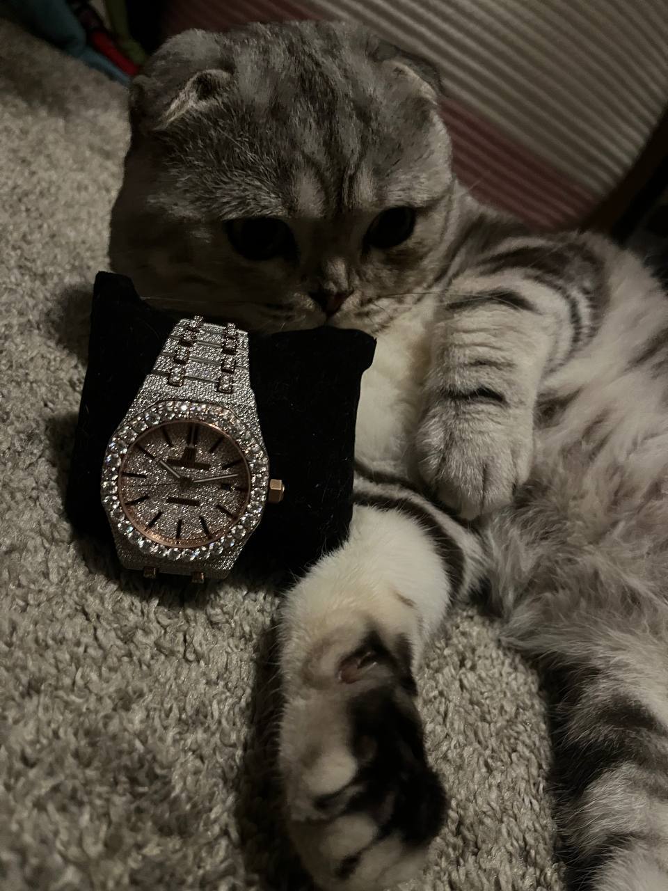 EARL