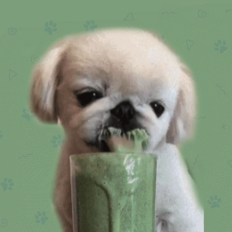 MILKSHAKE