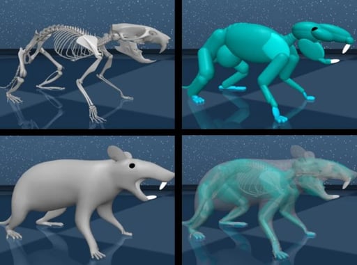 Rodent