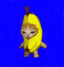 NANACAT