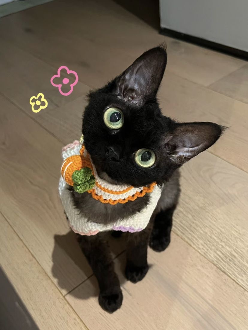 JIJI