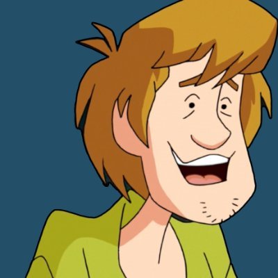 SHAGGY