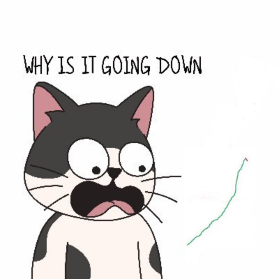 $WHY