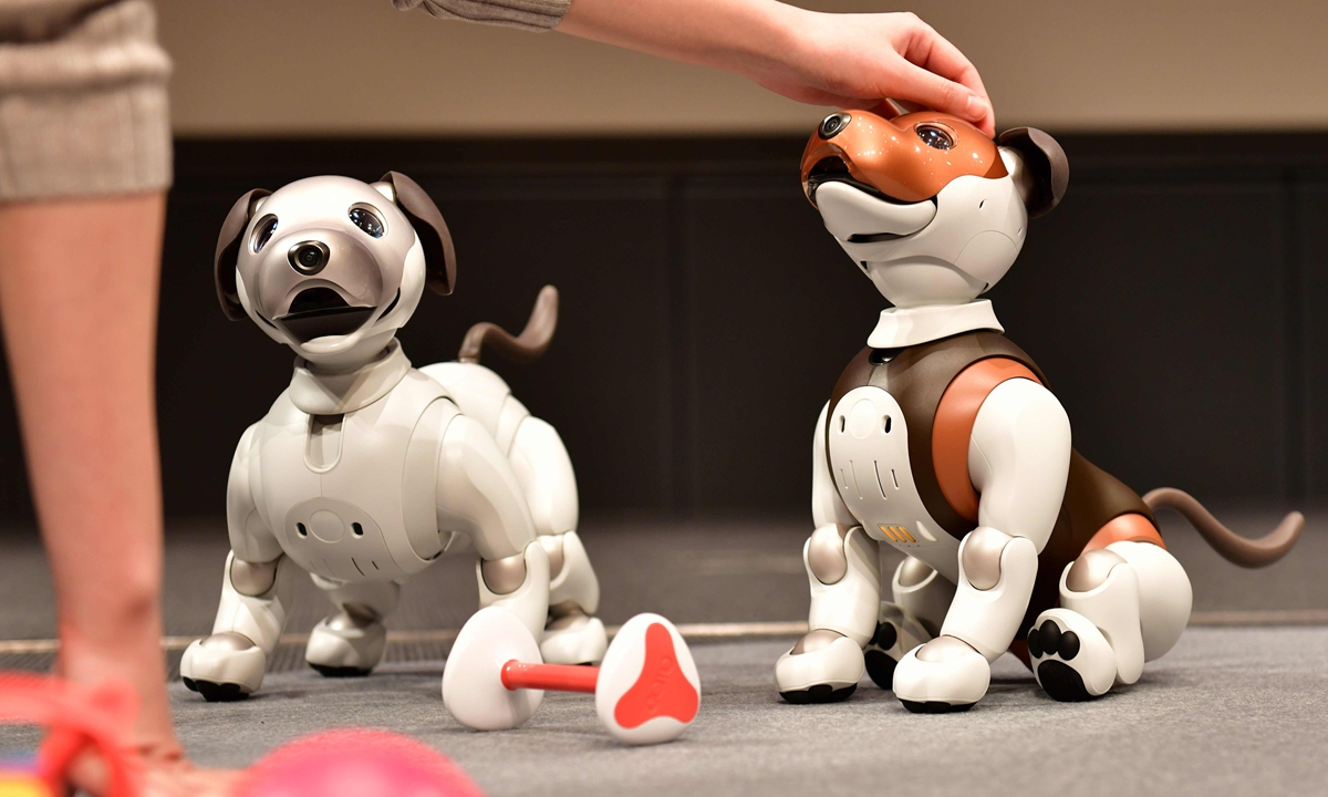 Aibo