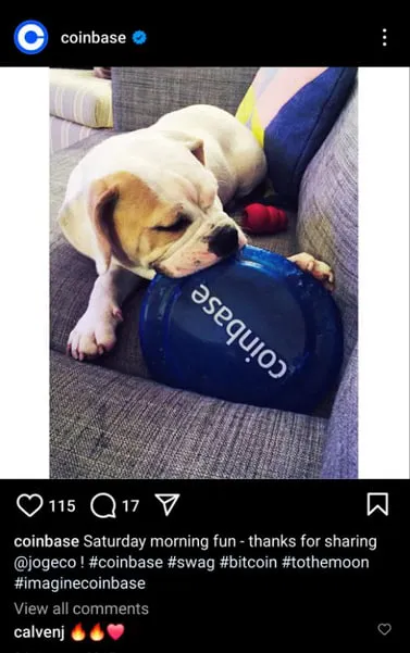 Jogeco