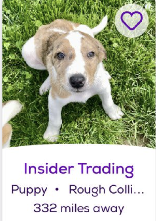 Insider