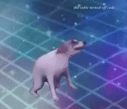 DANCEDOG