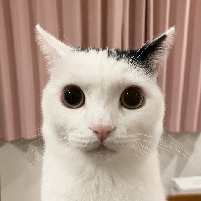 takeru