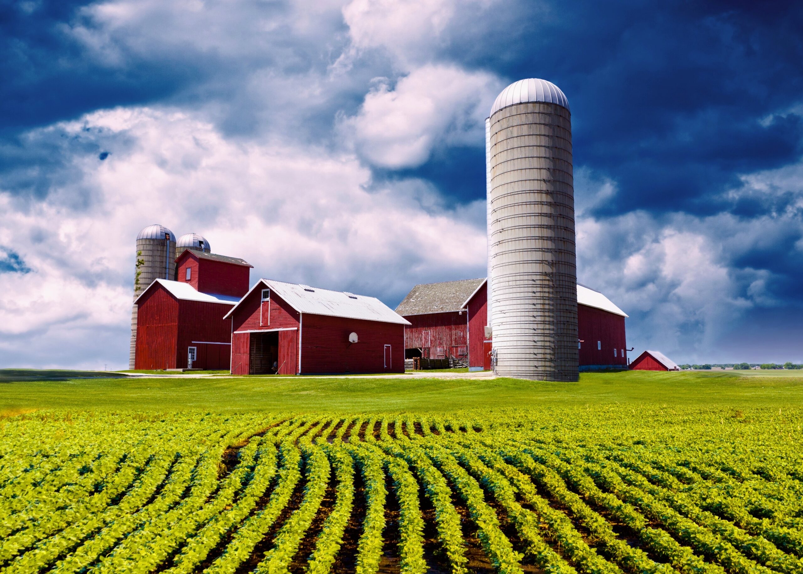 Farm