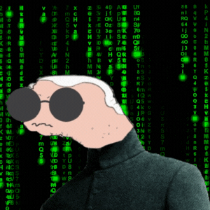 JOE