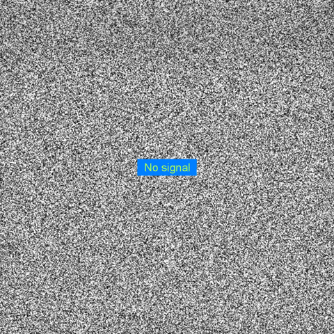 404